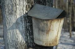 Syrup Bucket.jpg 